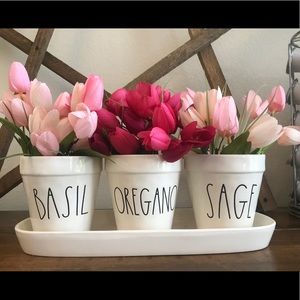 Rae Dunn planter - BASIL OREGANO SAGE with base